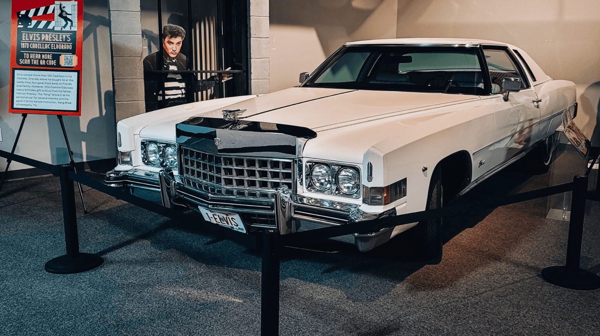 photo of the cars of the stars exhibit